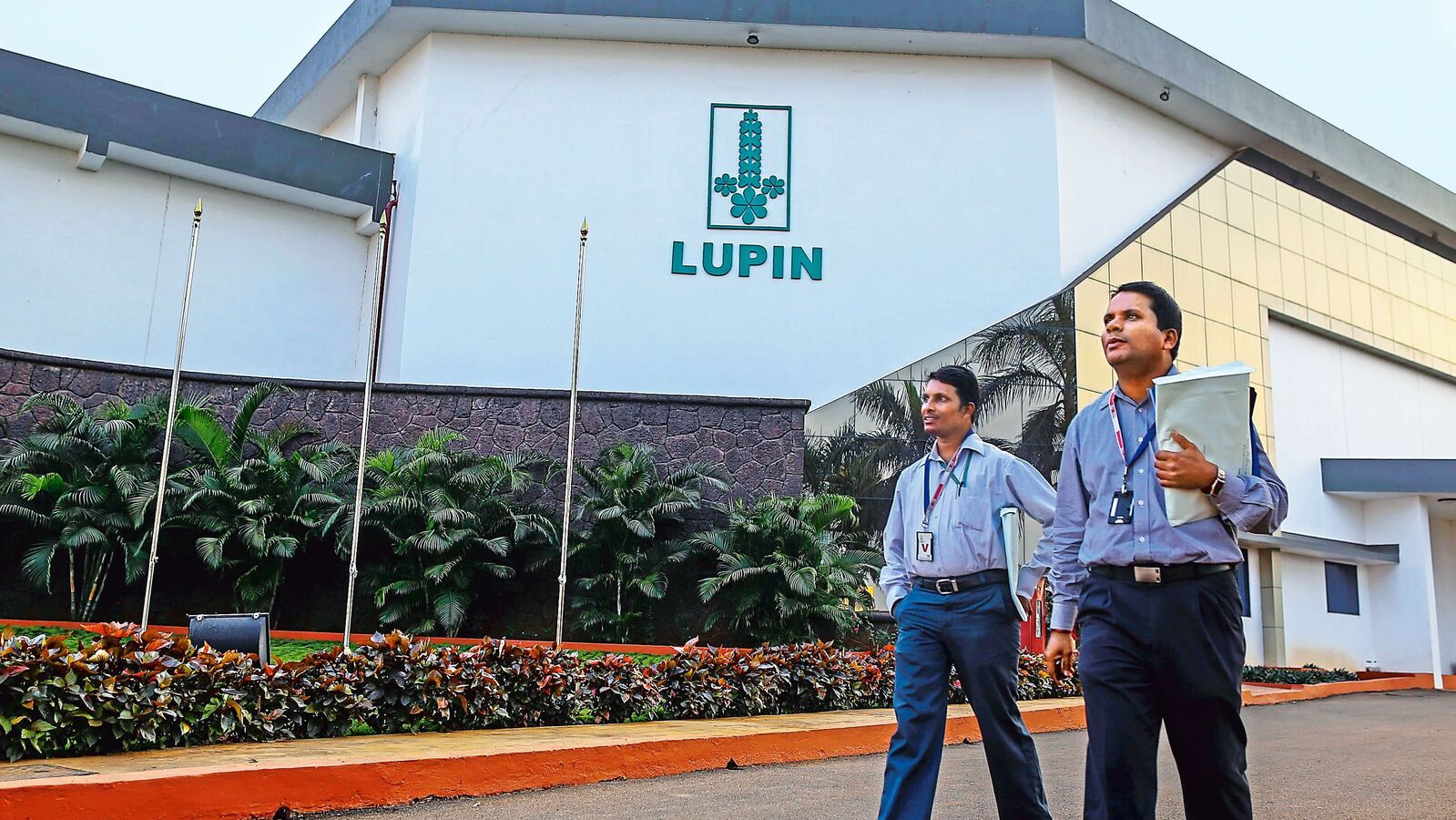lupin share price
