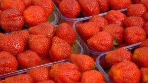 organic strawberries hepatitis