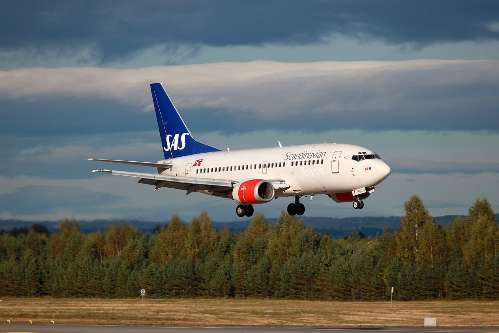 scandinavian airlines