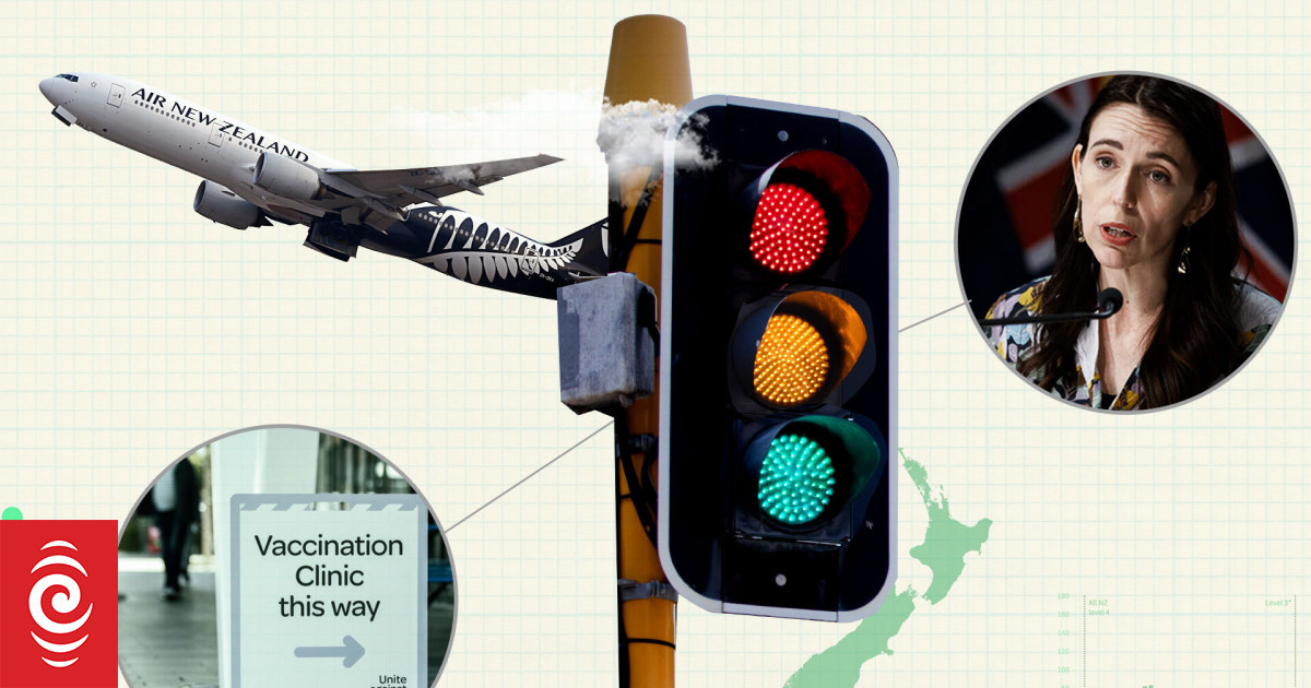 traffic light system nz explained